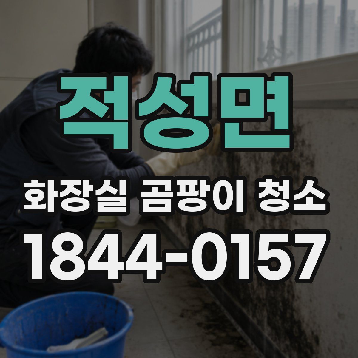 적성면 화장실 곰팡이 청소