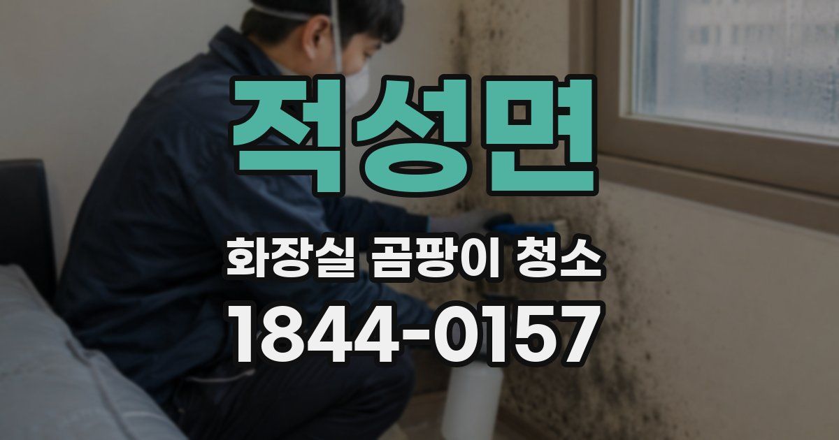 적성면 화장실 곰팡이 청소