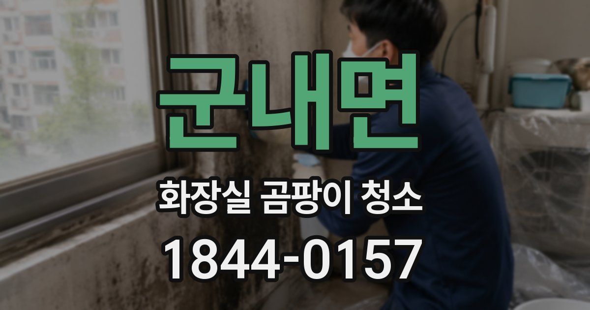 군내면 화장실 곰팡이 청소