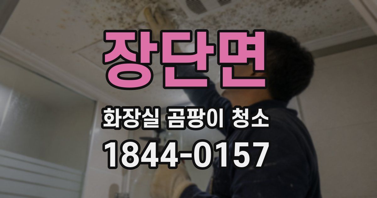 장단면 화장실 곰팡이 청소