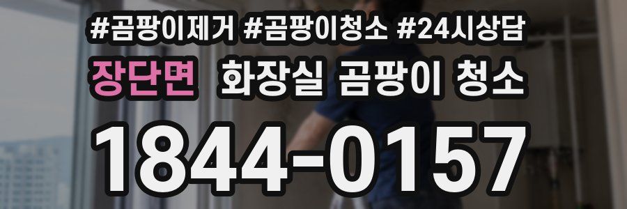 장단면 화장실 곰팡이 청소
