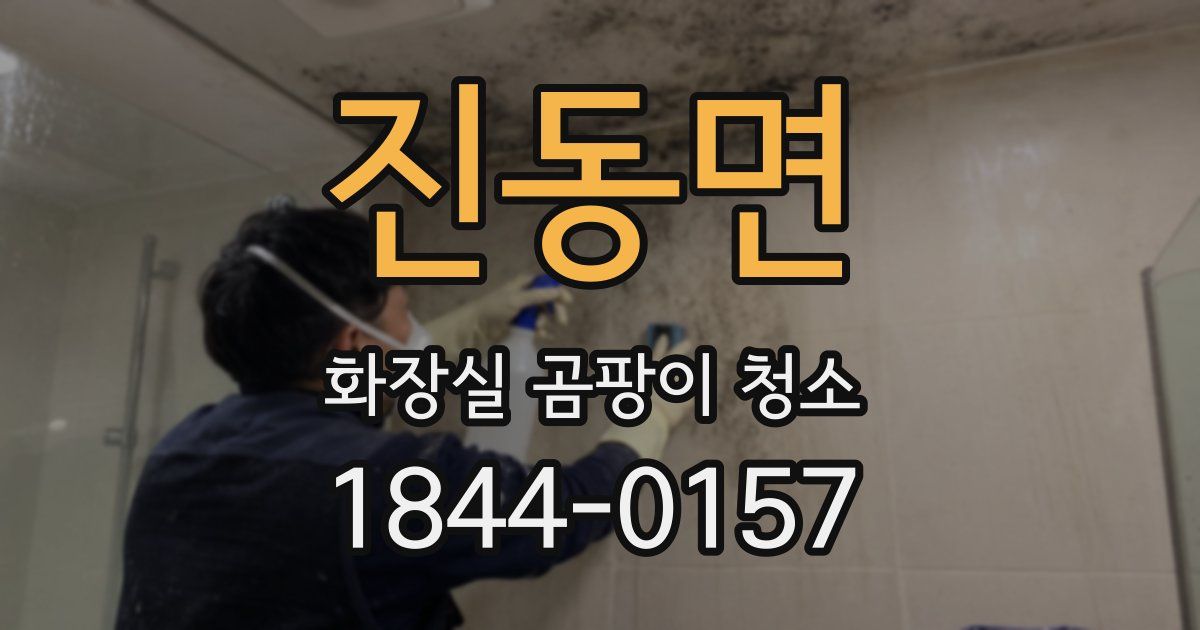 진동면 화장실 곰팡이 청소