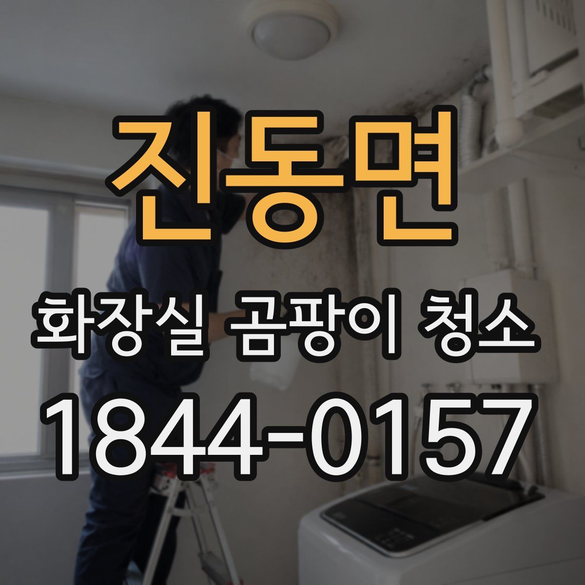 진동면 화장실 곰팡이 청소