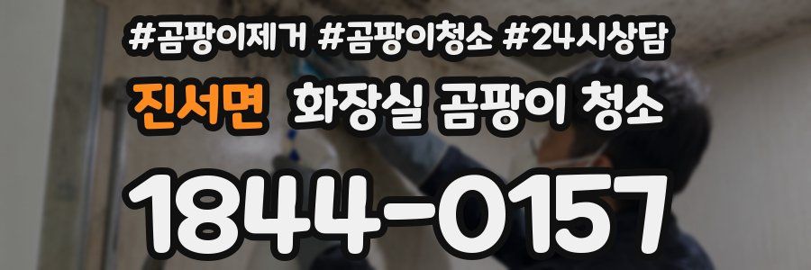 진서면 화장실 곰팡이 청소