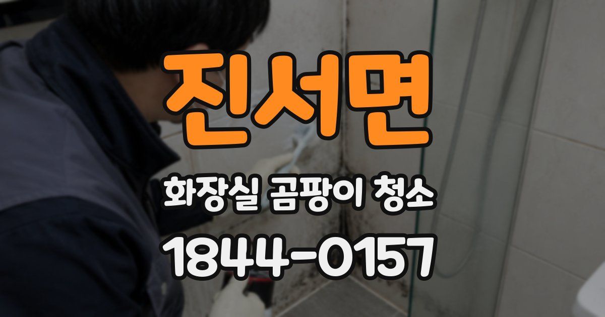 진서면 화장실 곰팡이 청소