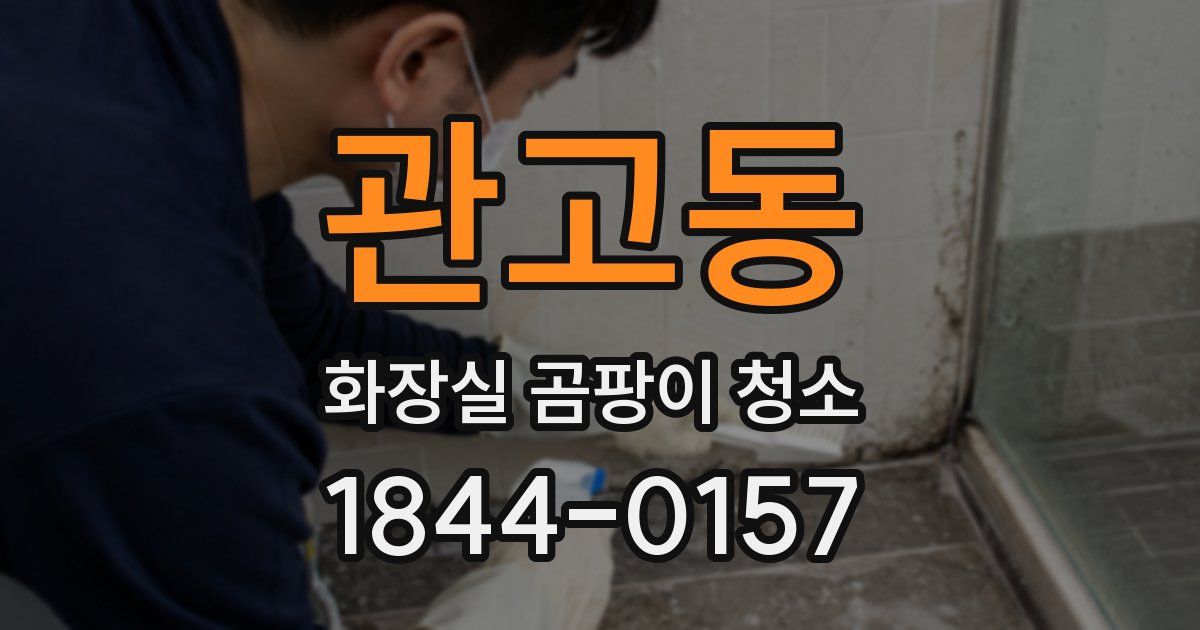 관고동 화장실 곰팡이 청소