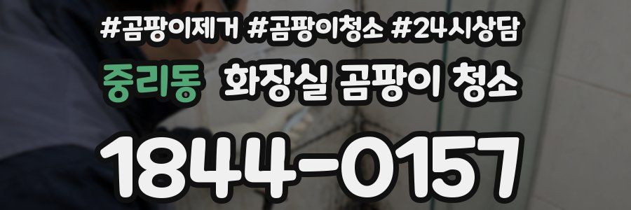 중리동 화장실 곰팡이 청소