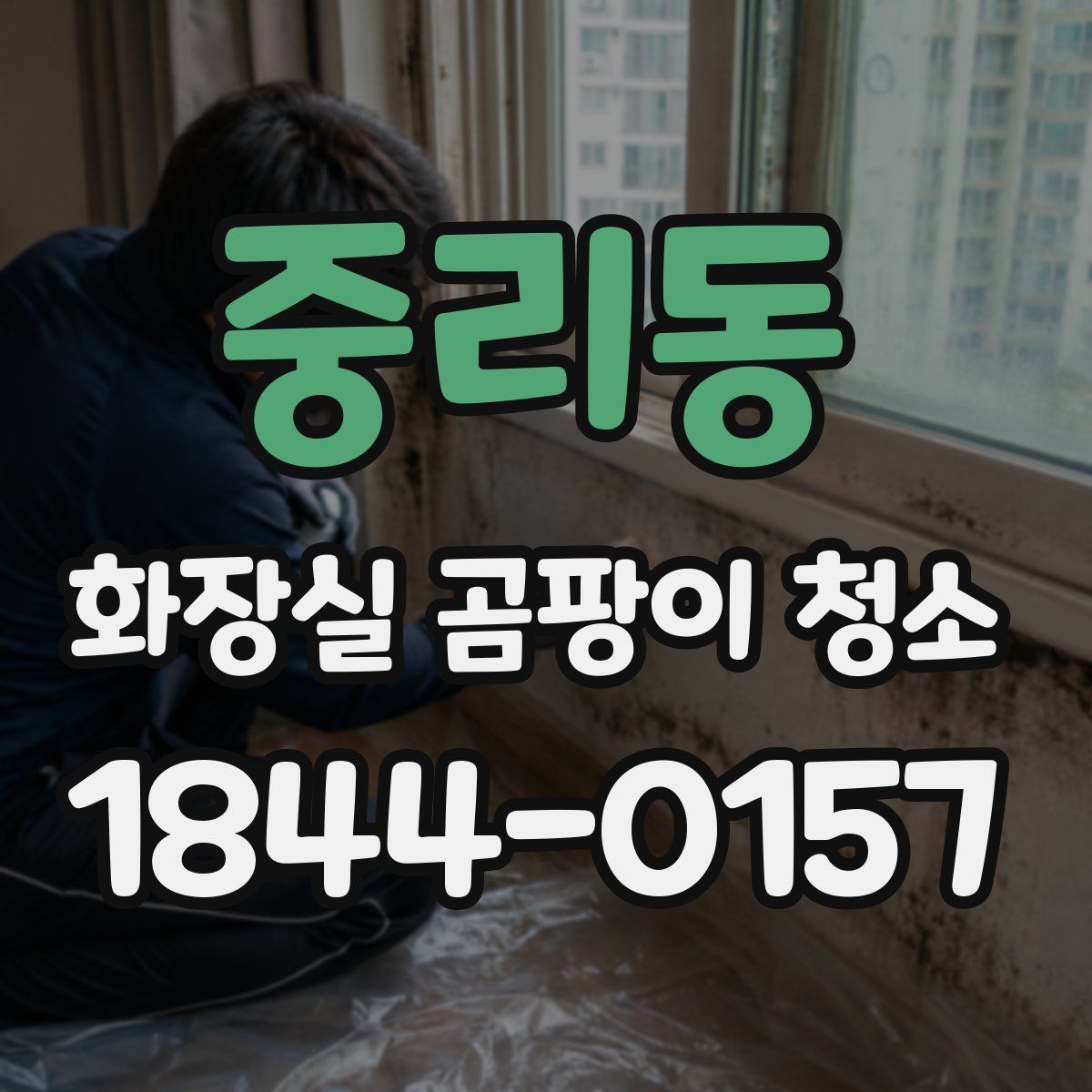 중리동 화장실 곰팡이 청소