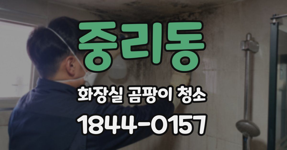 중리동 화장실 곰팡이 청소
