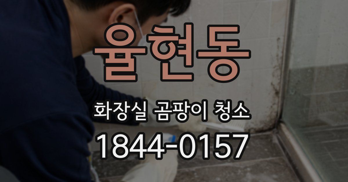 율현동 화장실 곰팡이 청소