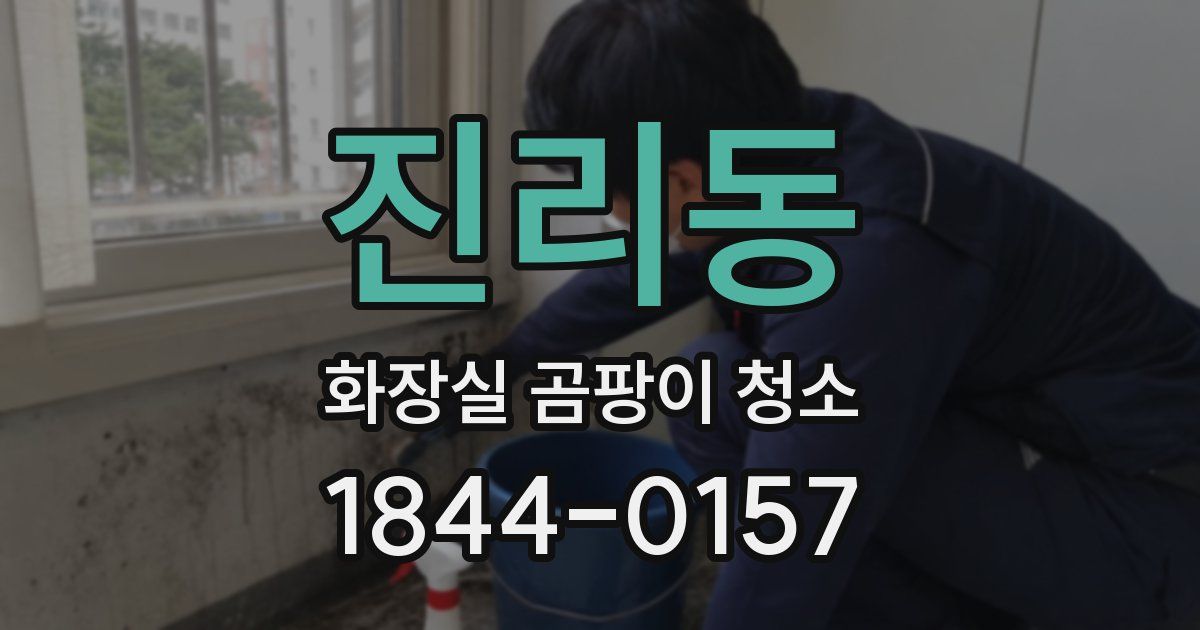 진리동 화장실 곰팡이 청소