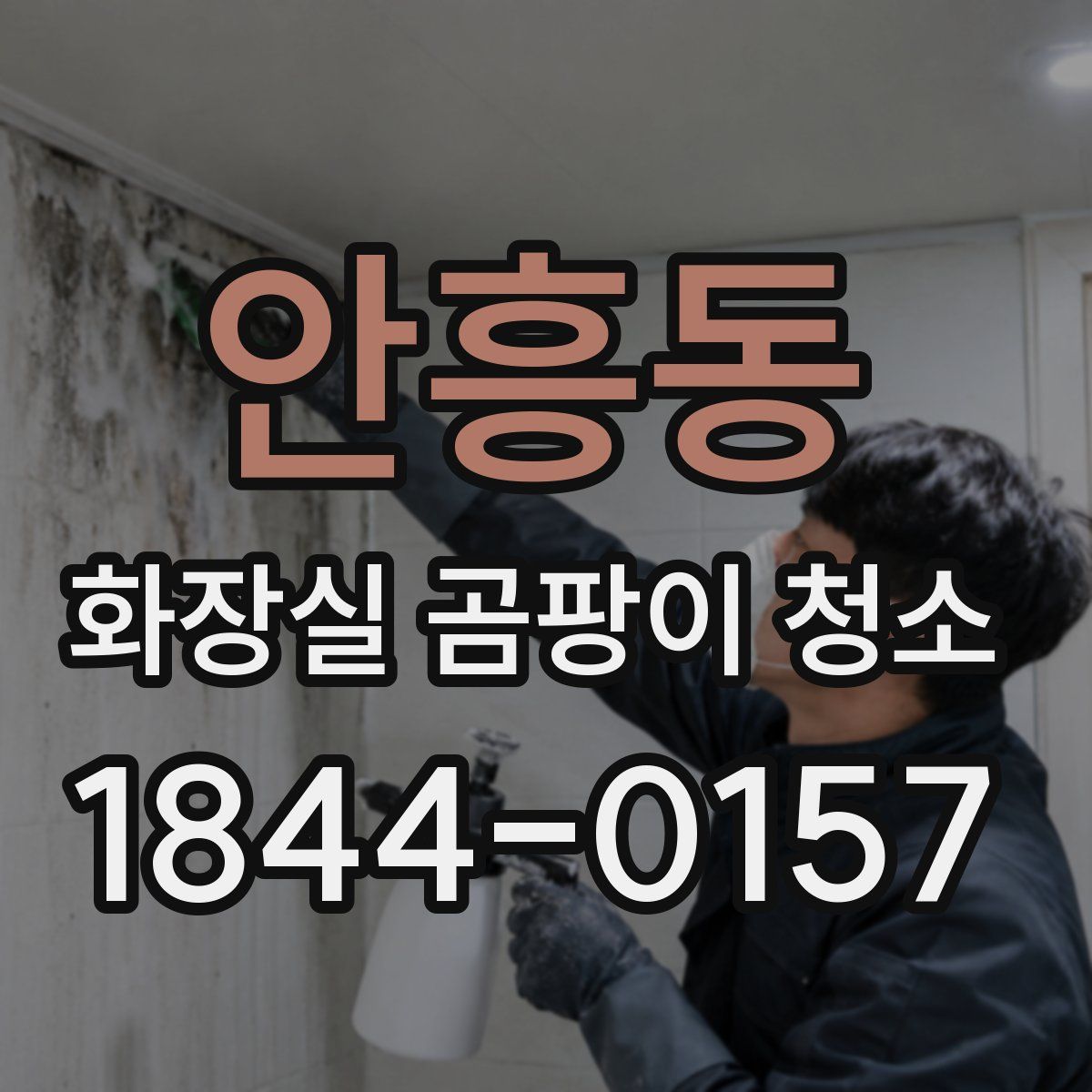 안흥동 화장실 곰팡이 청소