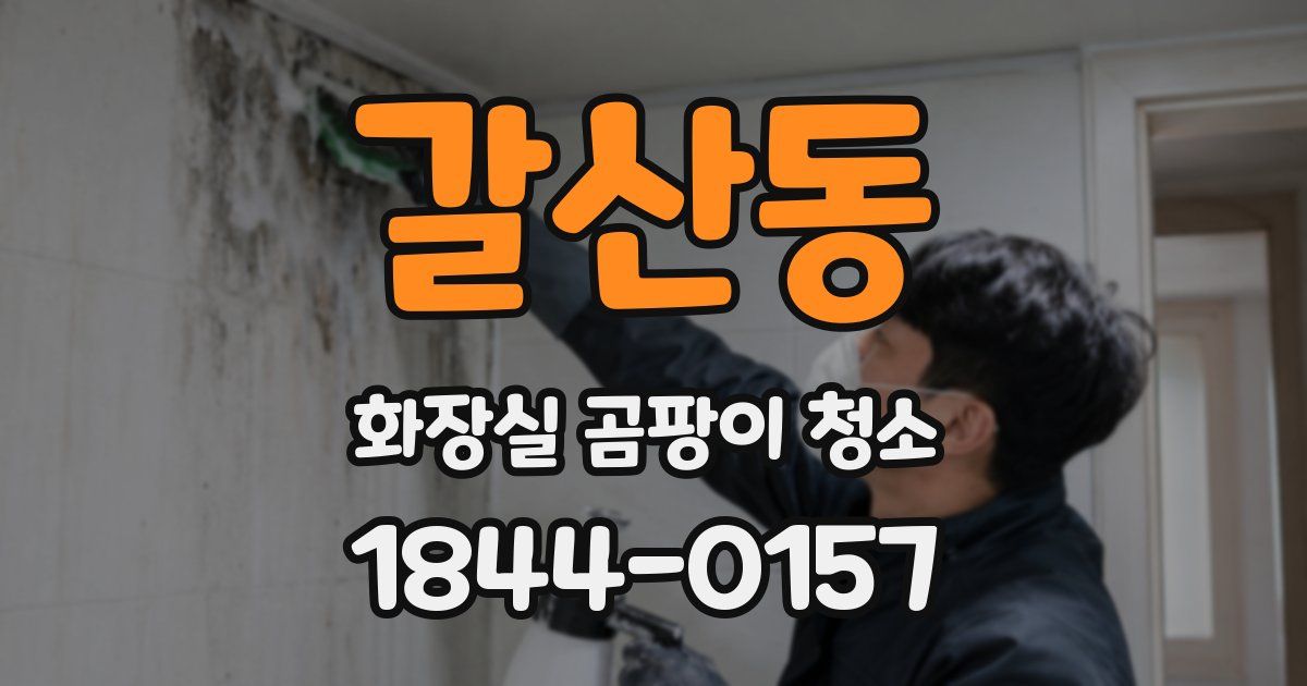 갈산동 화장실 곰팡이 청소