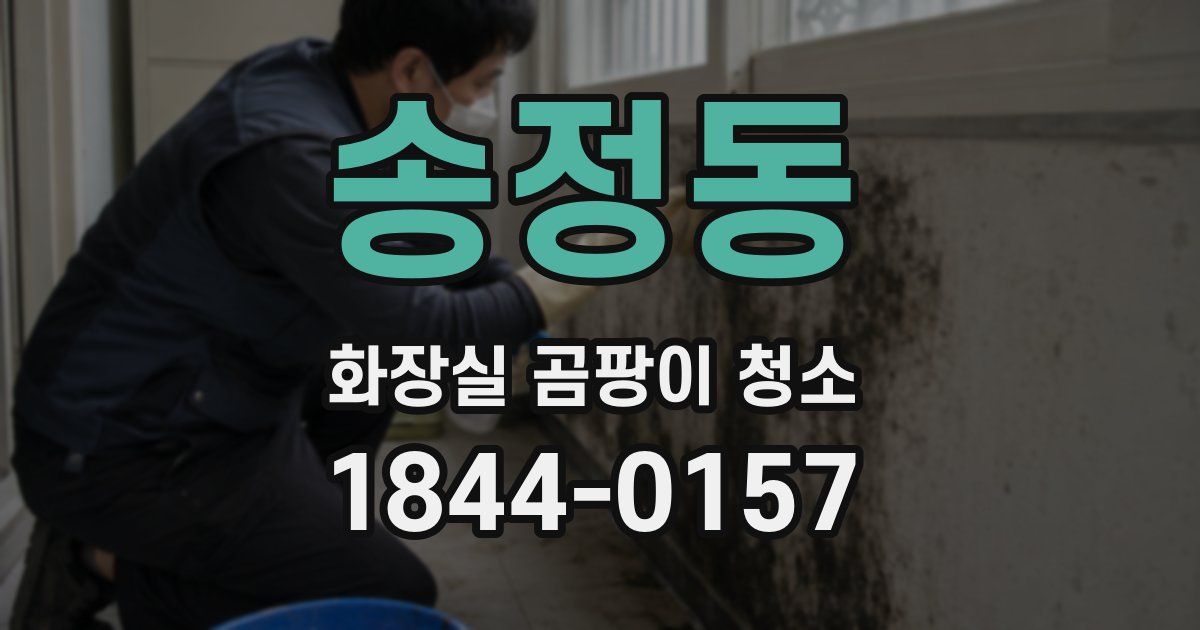송정동 화장실 곰팡이 청소