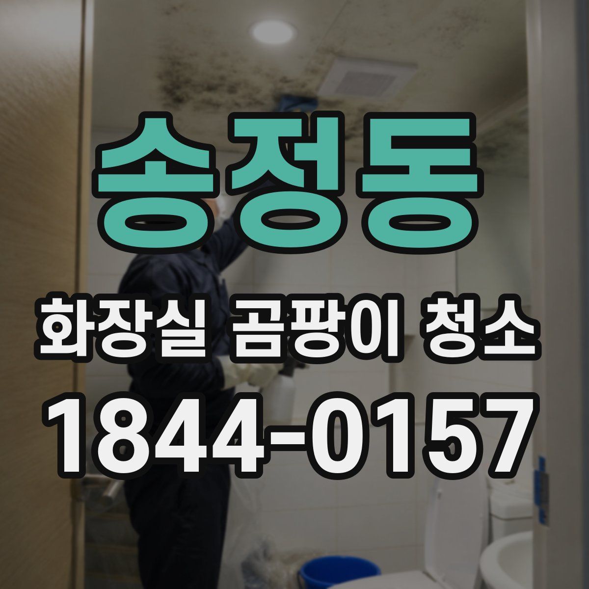 송정동 화장실 곰팡이 청소