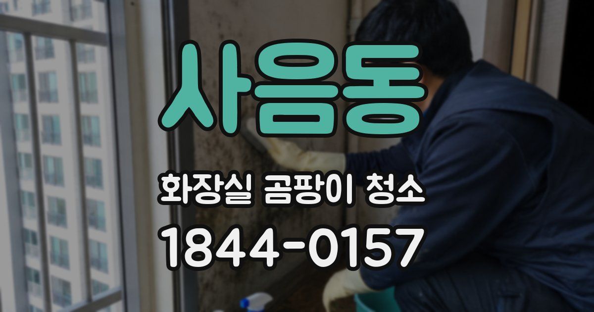 사음동 화장실 곰팡이 청소