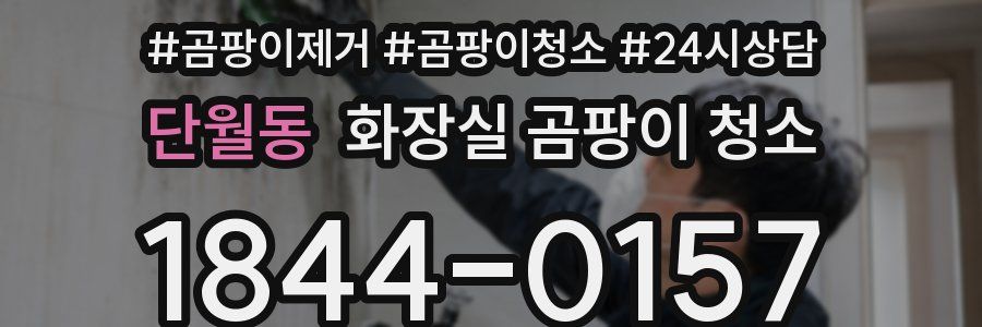 단월동 화장실 곰팡이 청소