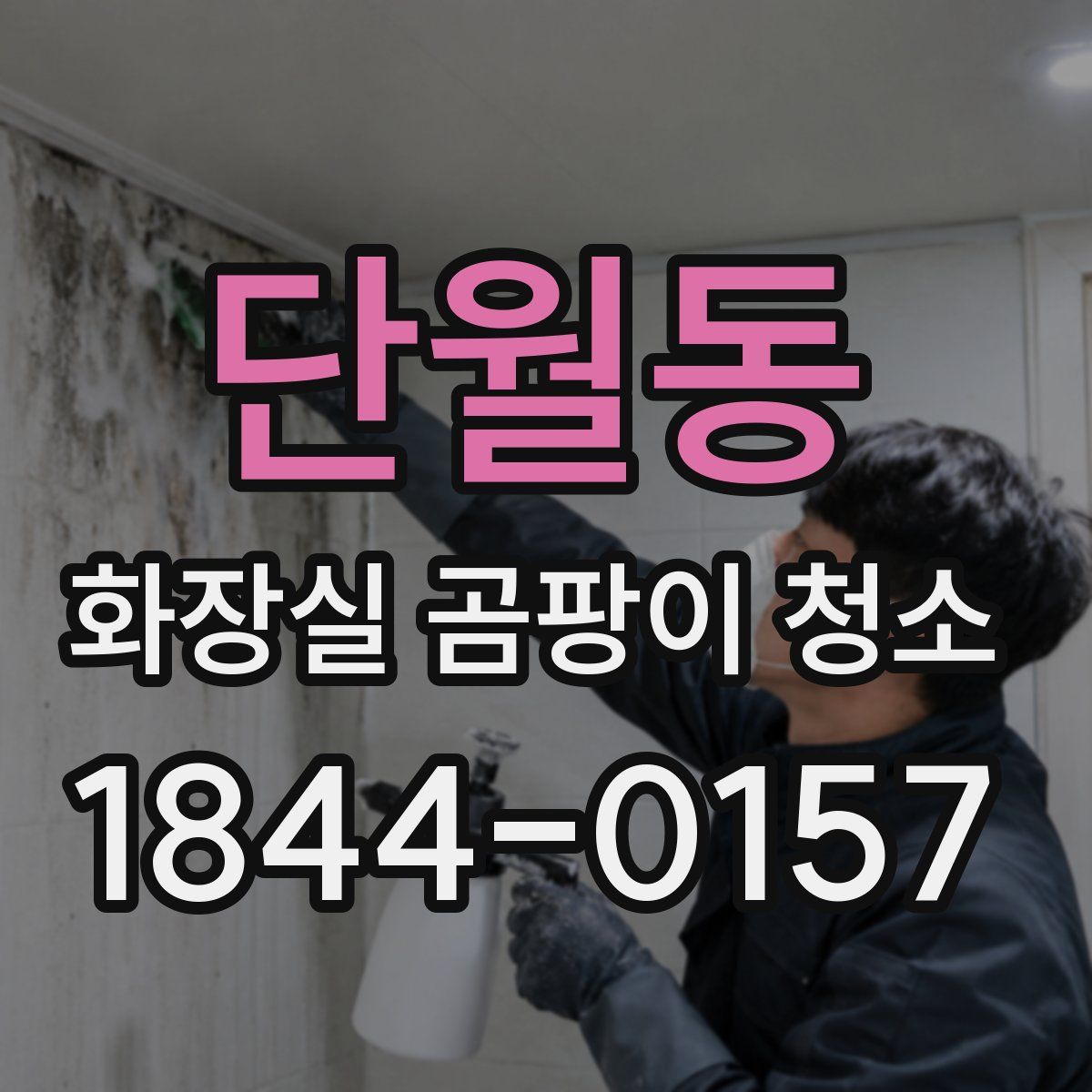 단월동 화장실 곰팡이 청소
