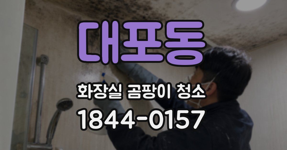 대포동 화장실 곰팡이 청소