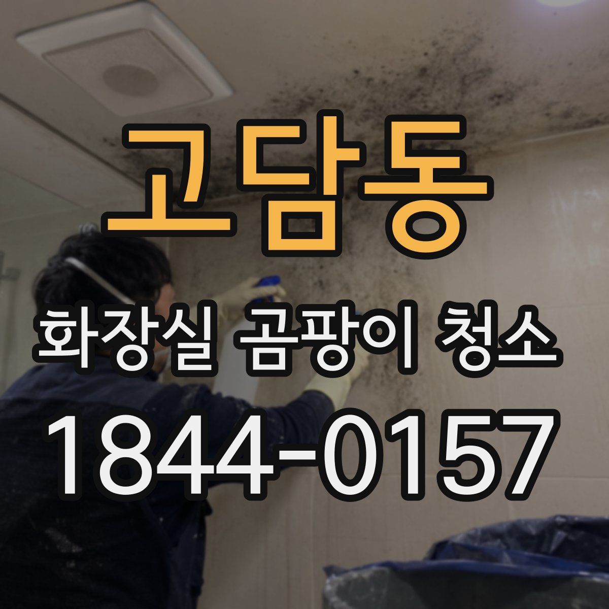 고담동 화장실 곰팡이 청소