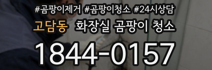 고담동 화장실 곰팡이 청소