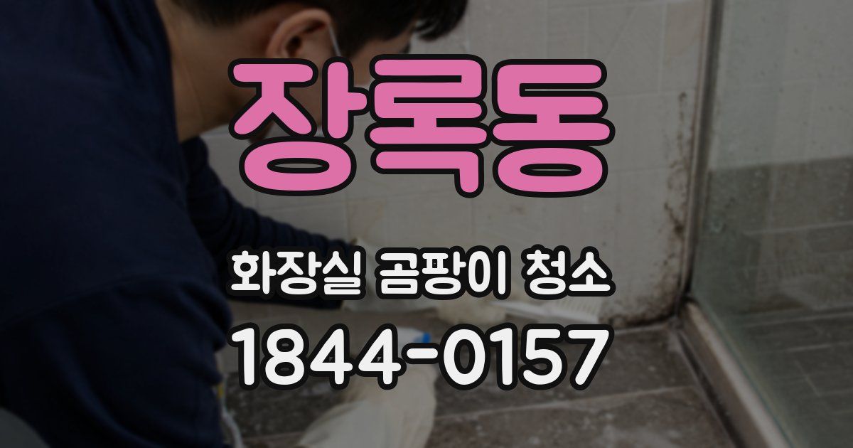 장록동 화장실 곰팡이 청소