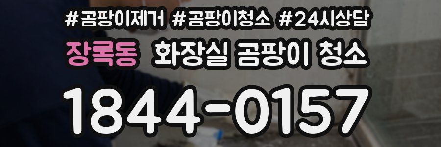 장록동 화장실 곰팡이 청소