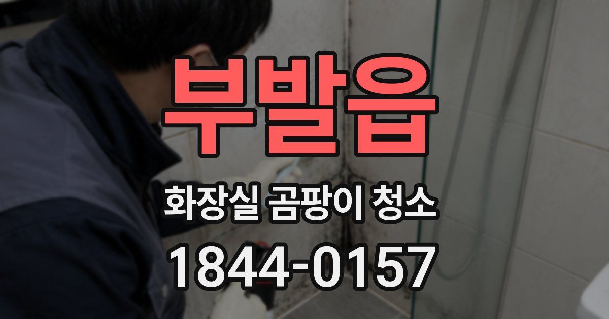 부발읍 화장실 곰팡이 청소