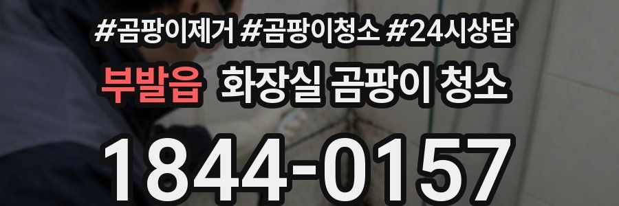 부발읍 화장실 곰팡이 청소