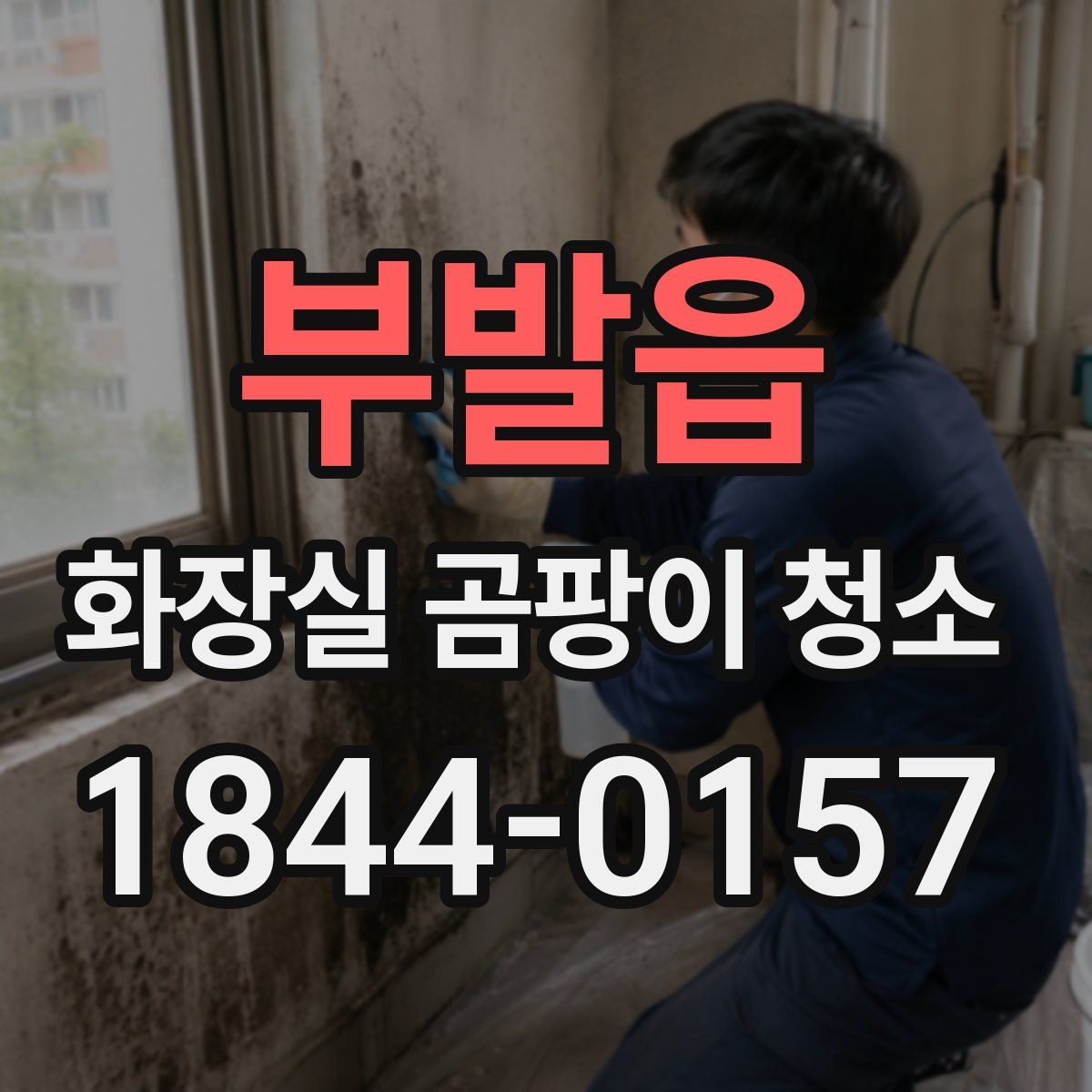 부발읍 화장실 곰팡이 청소