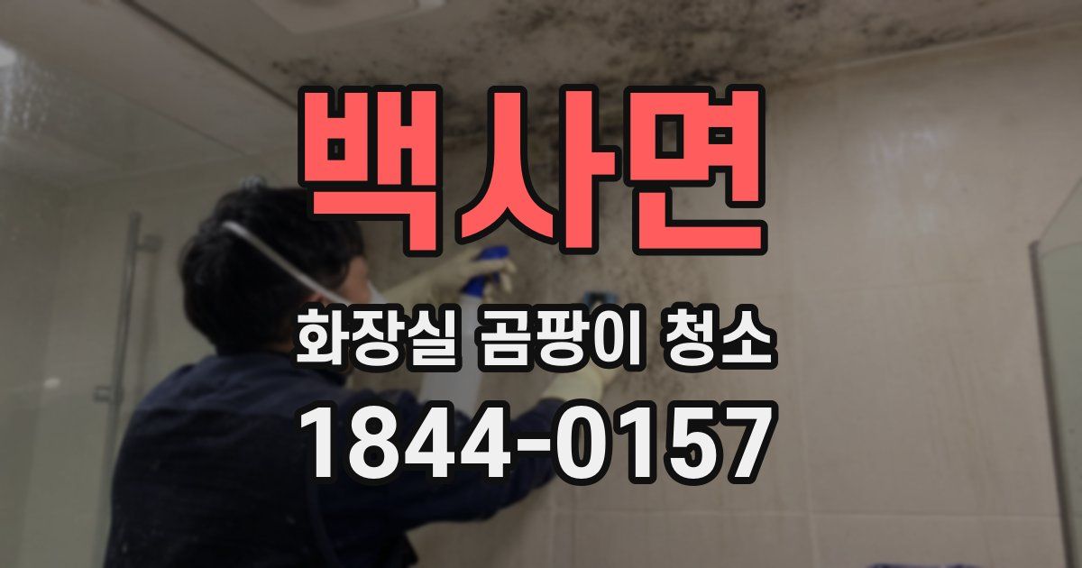백사면 화장실 곰팡이 청소