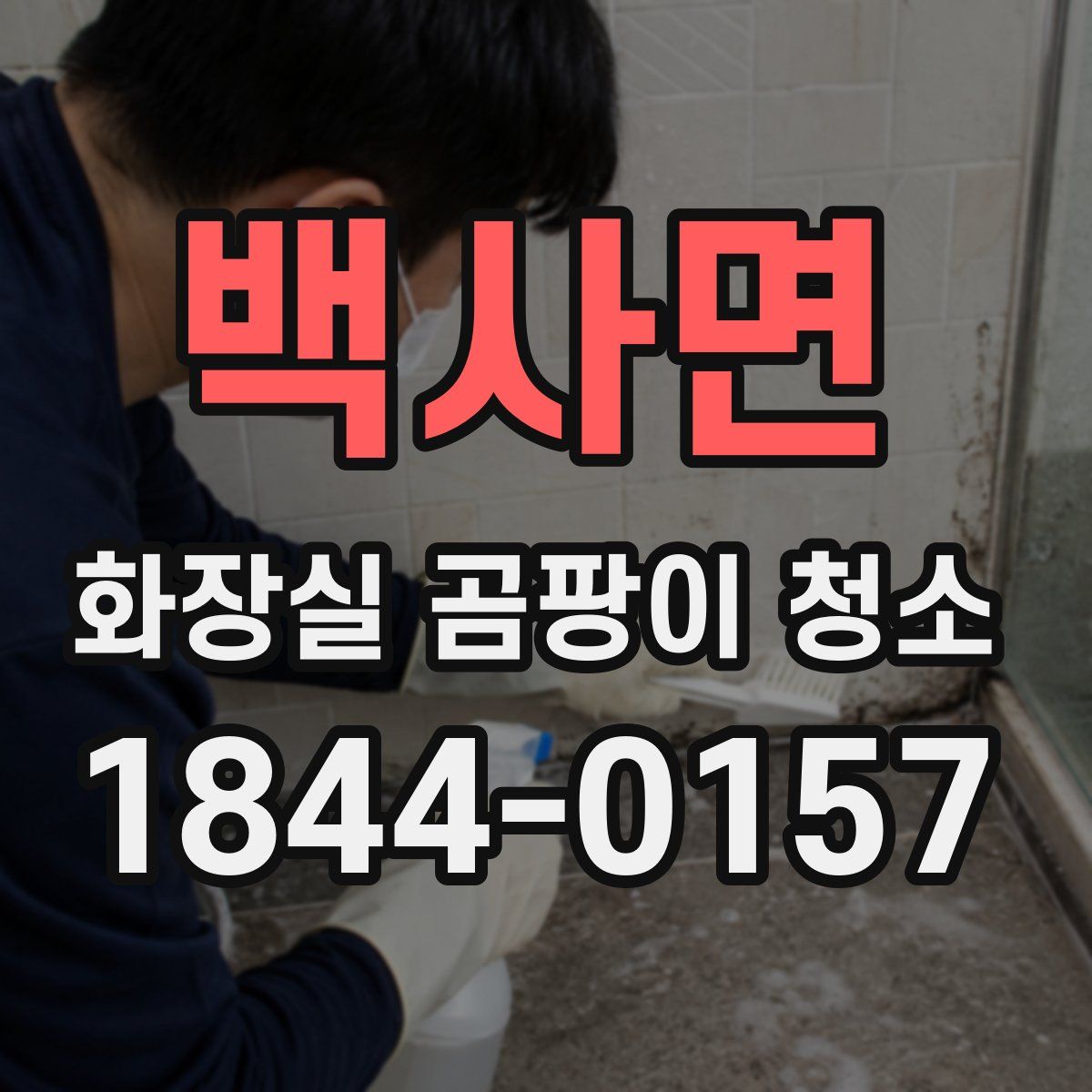 백사면 화장실 곰팡이 청소