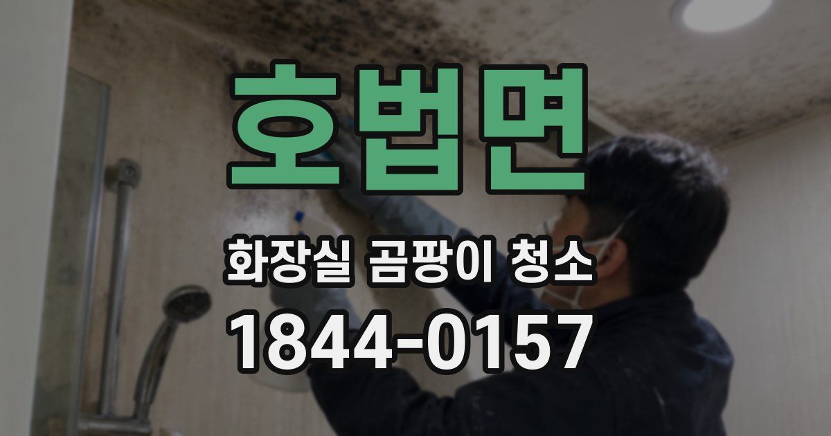 호법면 화장실 곰팡이 청소