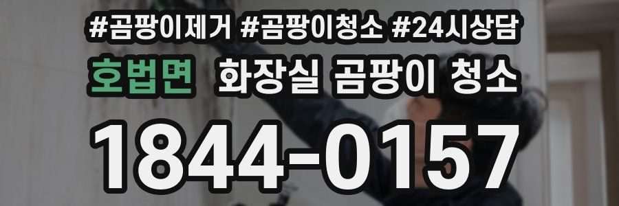 호법면 화장실 곰팡이 청소