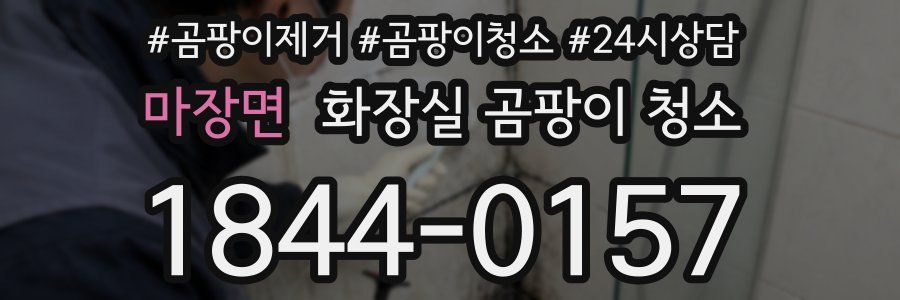 마장면 화장실 곰팡이 청소