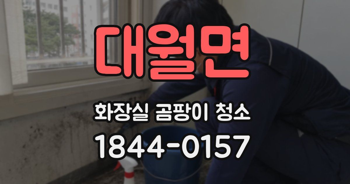 대월면 화장실 곰팡이 청소