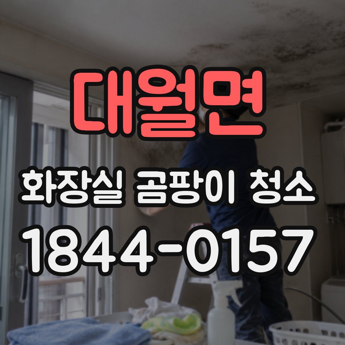 대월면 화장실 곰팡이 청소