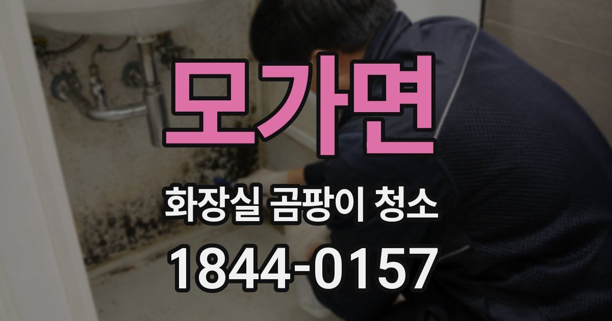 모가면 화장실 곰팡이 청소