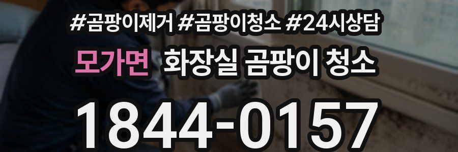 모가면 화장실 곰팡이 청소