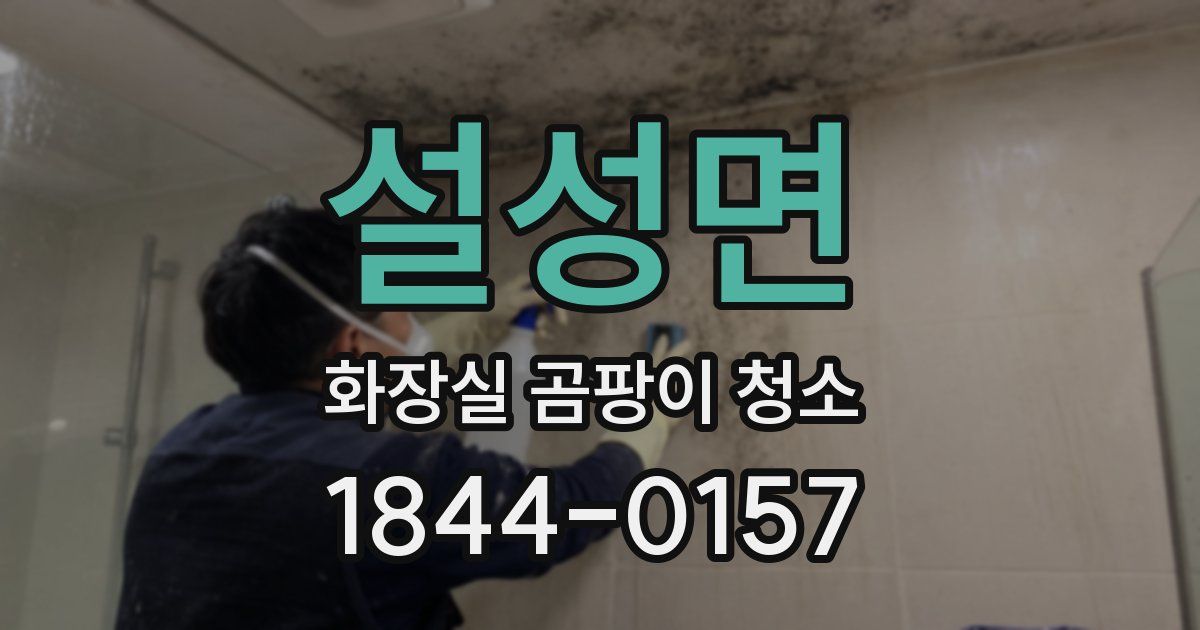 설성면 화장실 곰팡이 청소