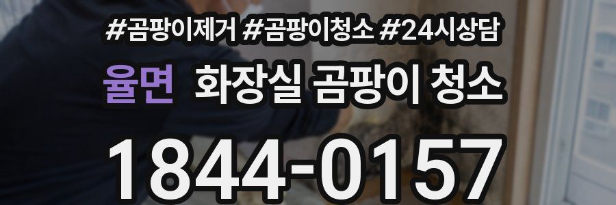 율면 화장실 곰팡이 청소
