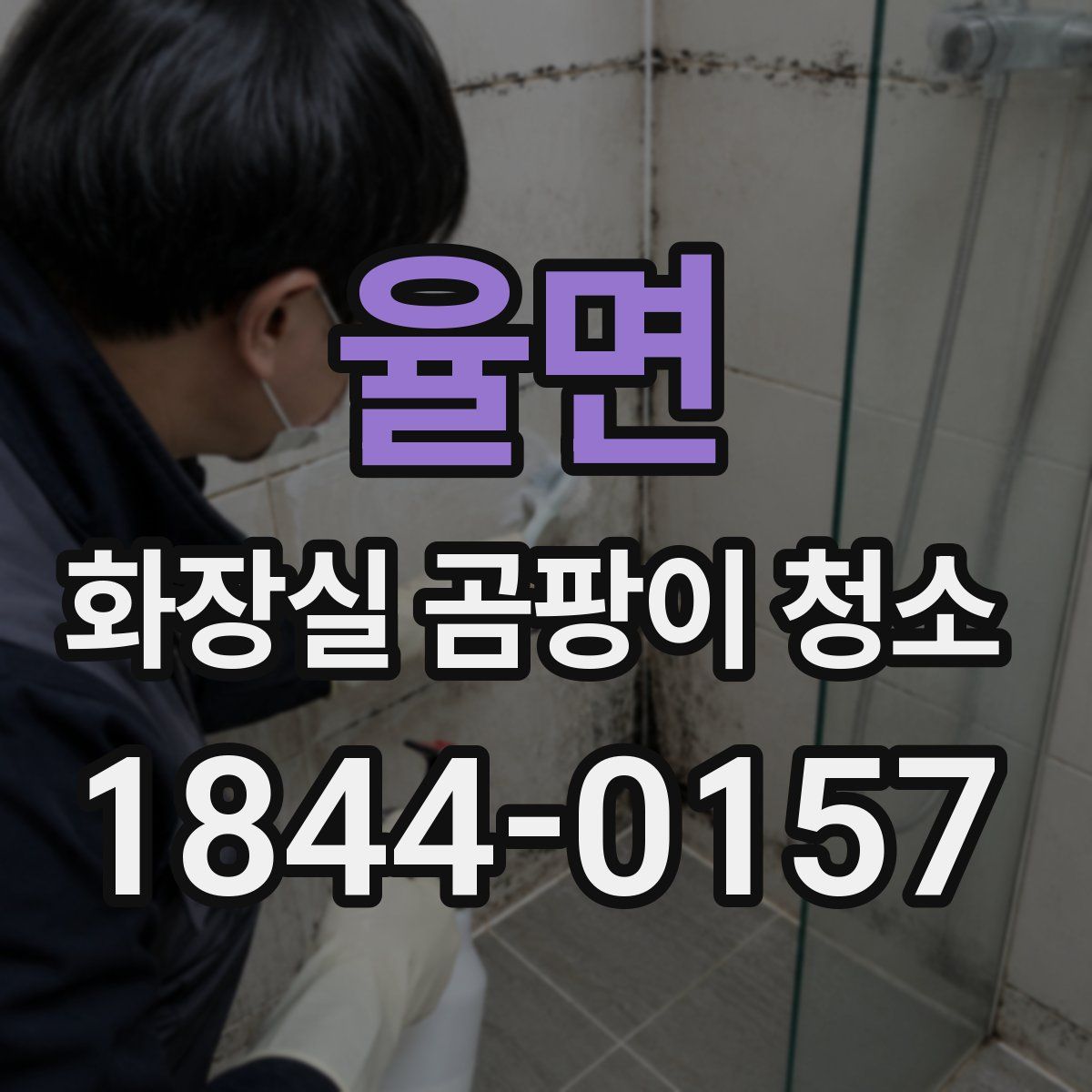 율면 화장실 곰팡이 청소