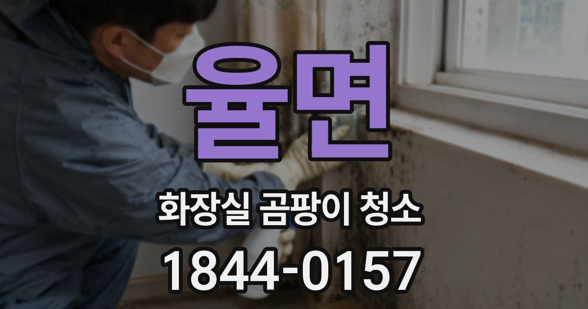 율면 화장실 곰팡이 청소