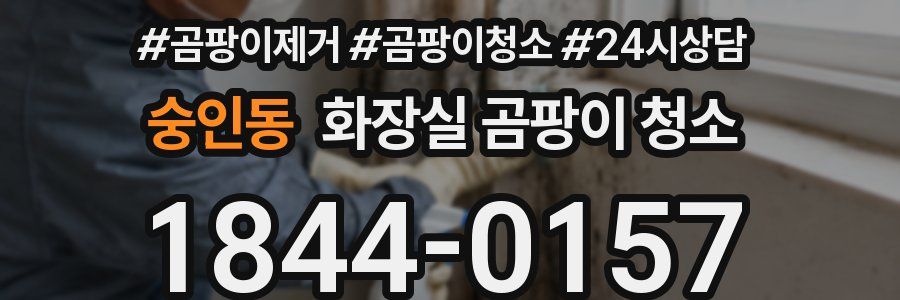 숭인동 화장실 곰팡이 청소
