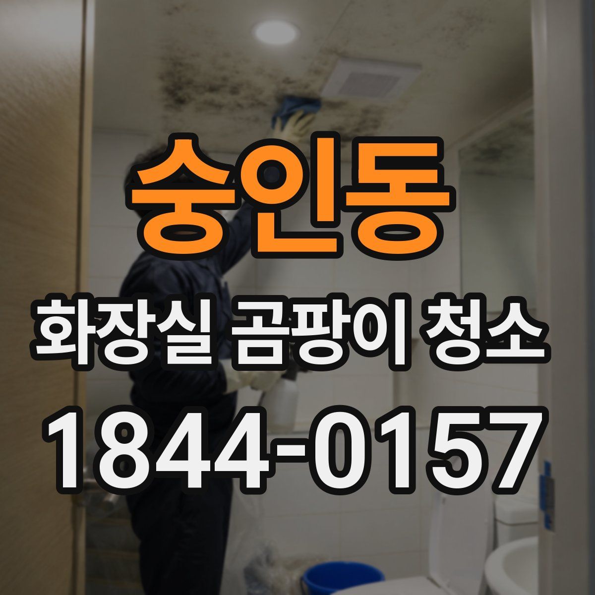 숭인동 화장실 곰팡이 청소