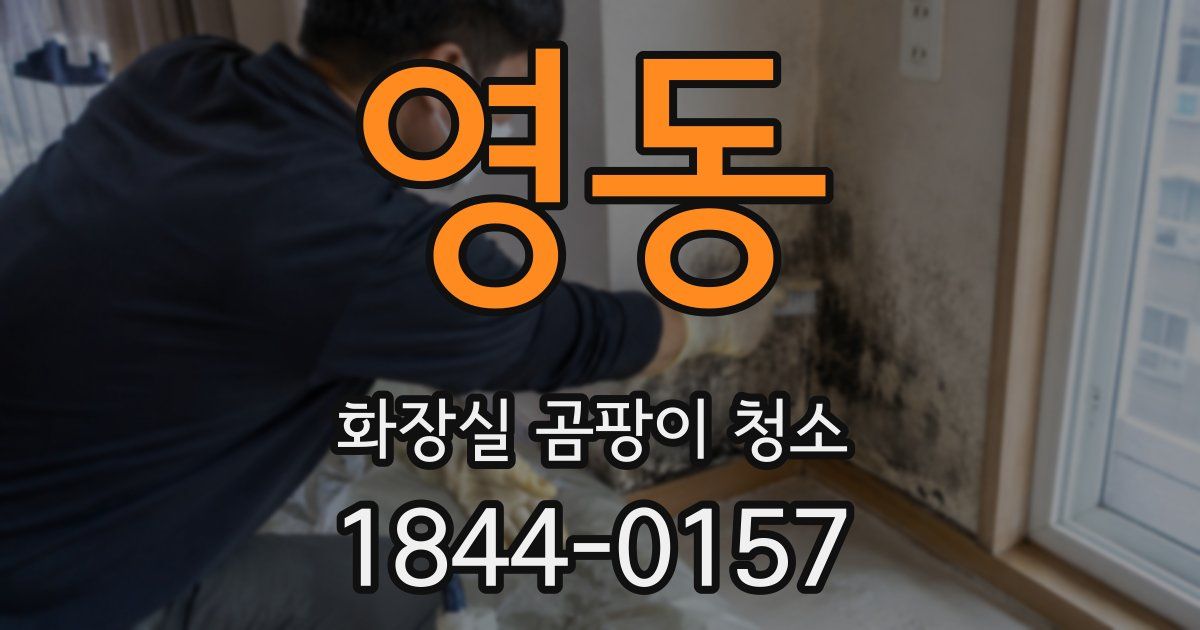 영동 화장실 곰팡이 청소