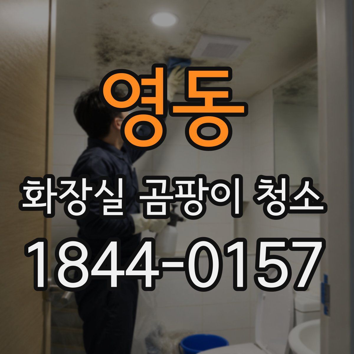영동 화장실 곰팡이 청소