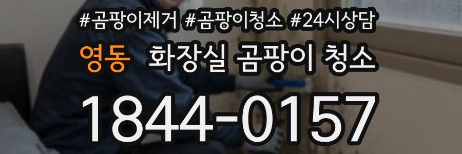 영동 화장실 곰팡이 청소