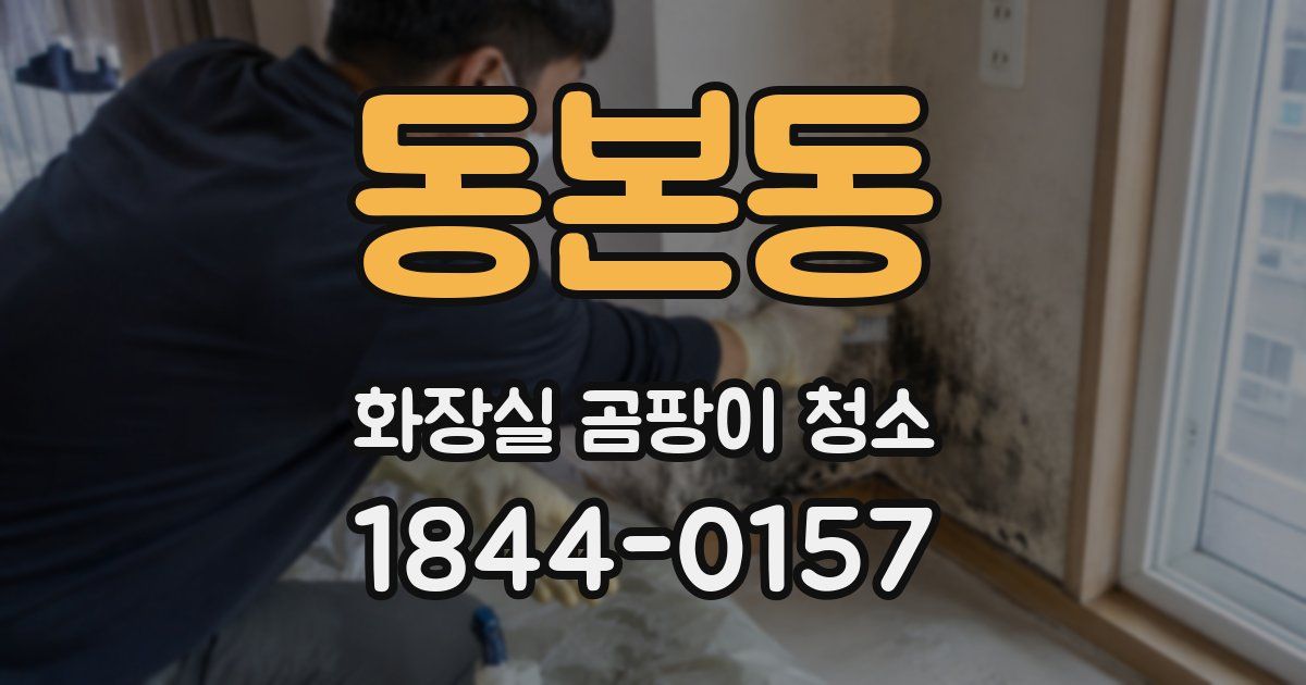 동본동 화장실 곰팡이 청소