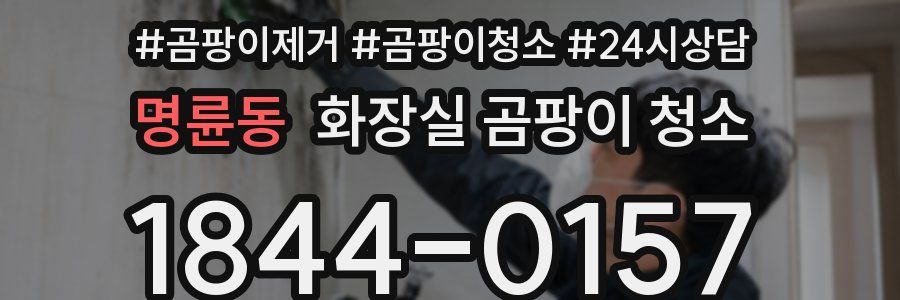 명륜동 화장실 곰팡이 청소